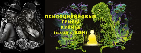 гидра Лабытнанги