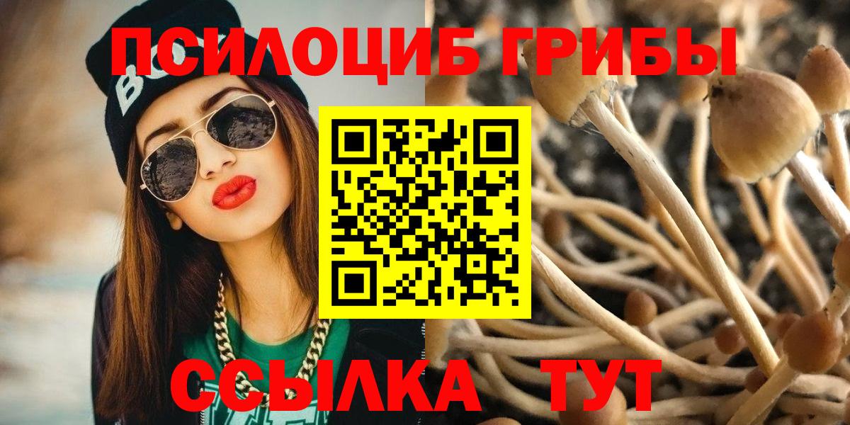 Псилоцибиновые грибы прущие грибы Тавда
