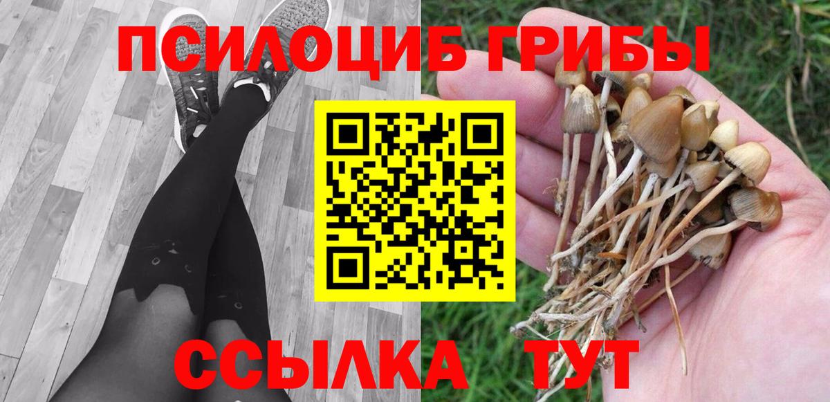 Галлюциногенные грибы прущие грибы  Вход с VPN  Тавда  Галлюциногенные грибы Psilocybe 