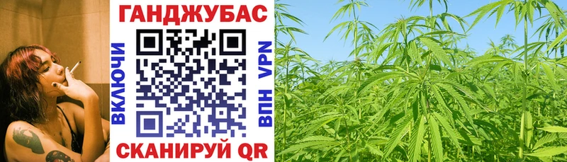 MEGA зеркало  Тавда  Марихуана сатива  закладка 
