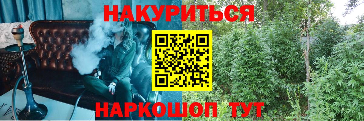 Канабис конопля Тавда